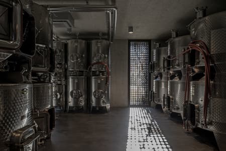 New Winery URS HAUSER